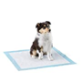 Potty training pads
